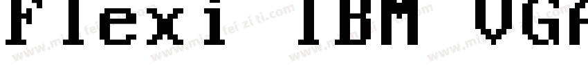 Flexi IBM VGA字体转换